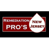 Remediation Pros