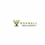 Tree Service Roswell