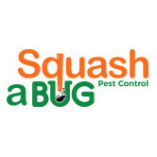 Squash a bug