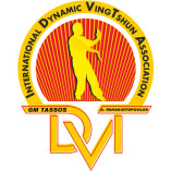 DVT Kampfkunstschulen Braunschweig logo