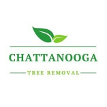 Chattanooga Tree Removal