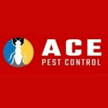 Pest Removal Brisbane