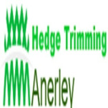 Hedge Trimming Anerley
