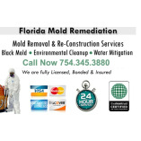 Fort Lauderdale Mold Remediation Pros