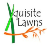 Xquisite Irrigation and Landscaping