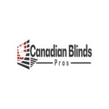 Blinds Toronto - Zebra Blinds & Motorized Blinds