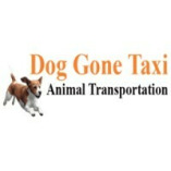 Dog Gone Taxi