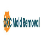 OKC Mold Removal