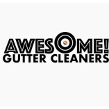 Awesome Gutter Cleaners