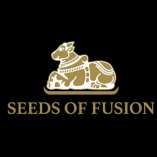 Seeds of Fusion