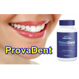 ProvaDent Official Website