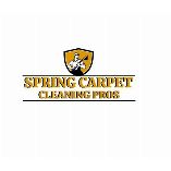 Spring Carpet Cleaning Pros