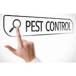 Greater Katy Pest Control Experts