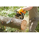 Wausau Tree Service Pros