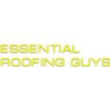 Roofing Guy San Tan Valley