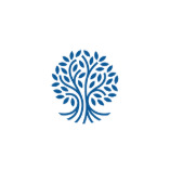 Root Cause Chiropractic