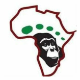 African Gorilla Tour