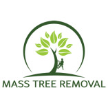 Tree Removal Stoughton