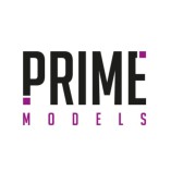 Prime Models