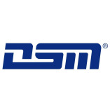 DSM Messtechnik GmbH logo