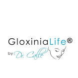 Gloxinia Life By Dr.calle
