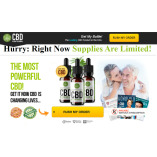 TerraLeaf Euphoria CBD Oil