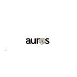 Auros Knowledge Systems