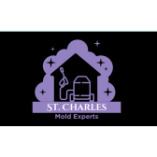 St Charles Mold Removal Solutions