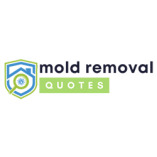 San Bernardino Executive Mold Removal