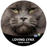 Maine Coons of Loving Lynx