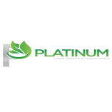 Platinum Landscape