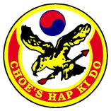 Choe's HapKiDo Martial Arts - Cumming