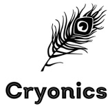 Cryonics IT Services