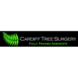 Cardiff Tree Surgery