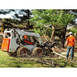 Westfield Tree Care Specialists