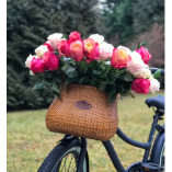 Bicycle Basket