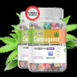 Cannagenix CBD Square Gummies