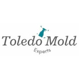 Mold Removal Toledo OH Solutions