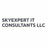 SKYEXPERT IT CONSULTANTS LLC