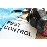 Onslow County Termite Removal Experts