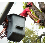 LUMBERTOWN TREE SERVICE