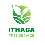 Ithaca Tree Service