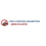 Pest Control Brampton