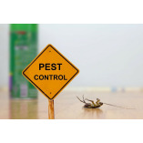 Preventive Pest Control Sydney