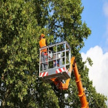 Gateway Tree Service Co