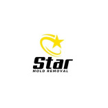 Atlanta Star Mold Removal