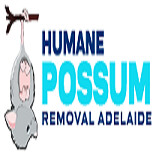 Humane Possum Removal Adelaide