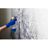 Mold Solutions of Mesa