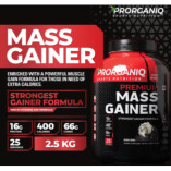 Mass Gainer vs Whey Protein