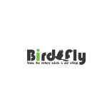 birdzfly